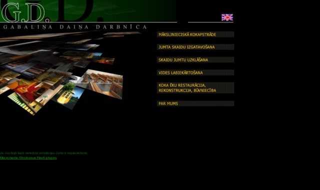 Daiņa Gabaliņa darbnīca, IU